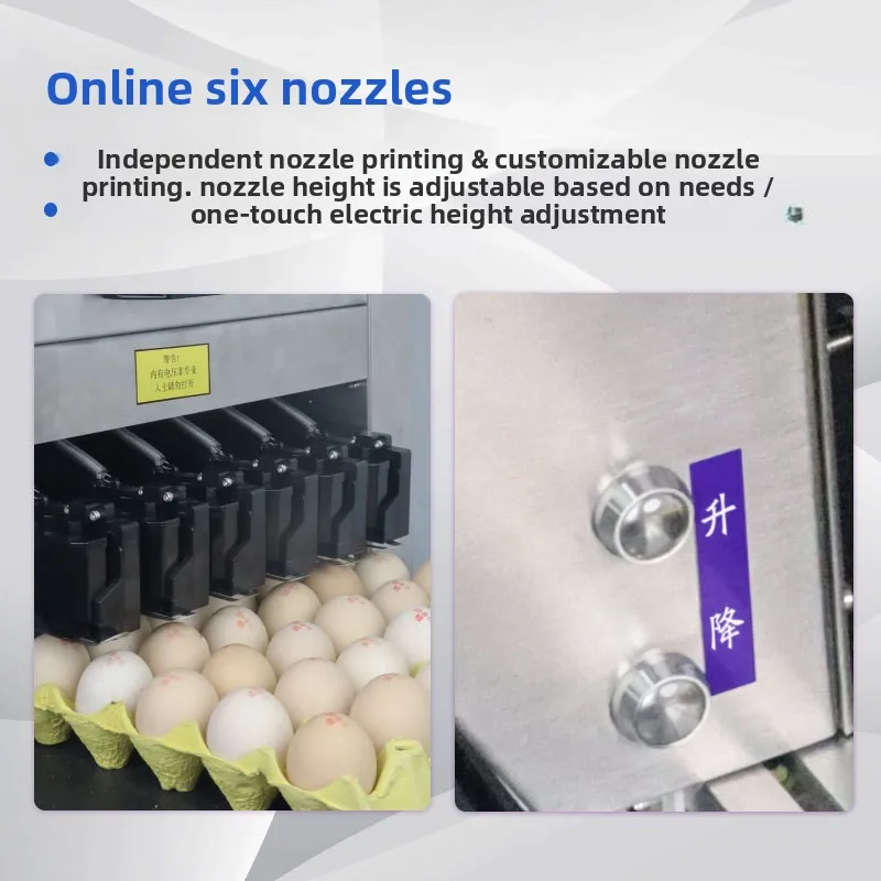Egg Coding Machine Six-Head Egg Inkjet Printer for Poultry Egg Production Factory Date Batch Number Logo Pattern Customized