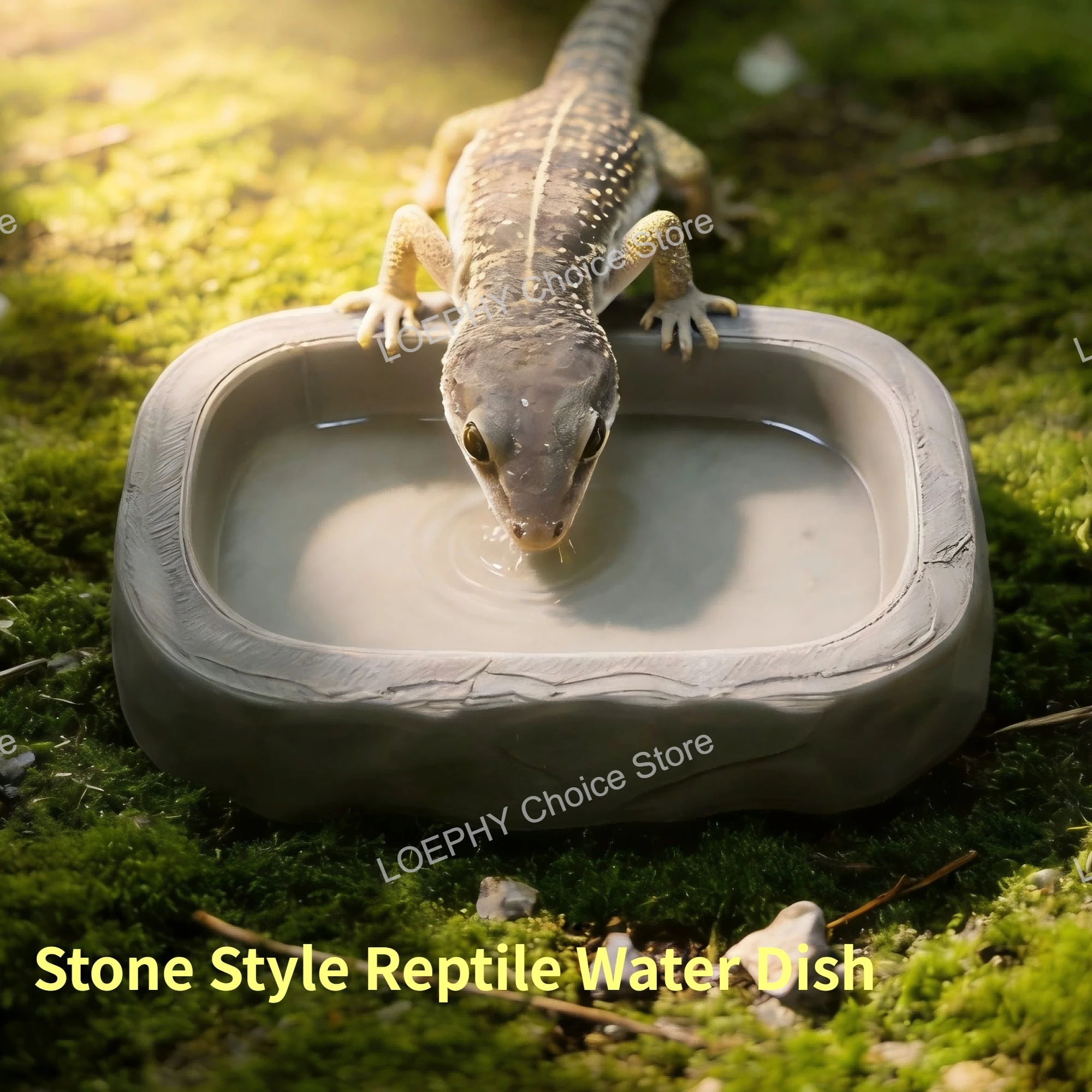 #9 Cheap Reptile Water Bowls Worth Buying