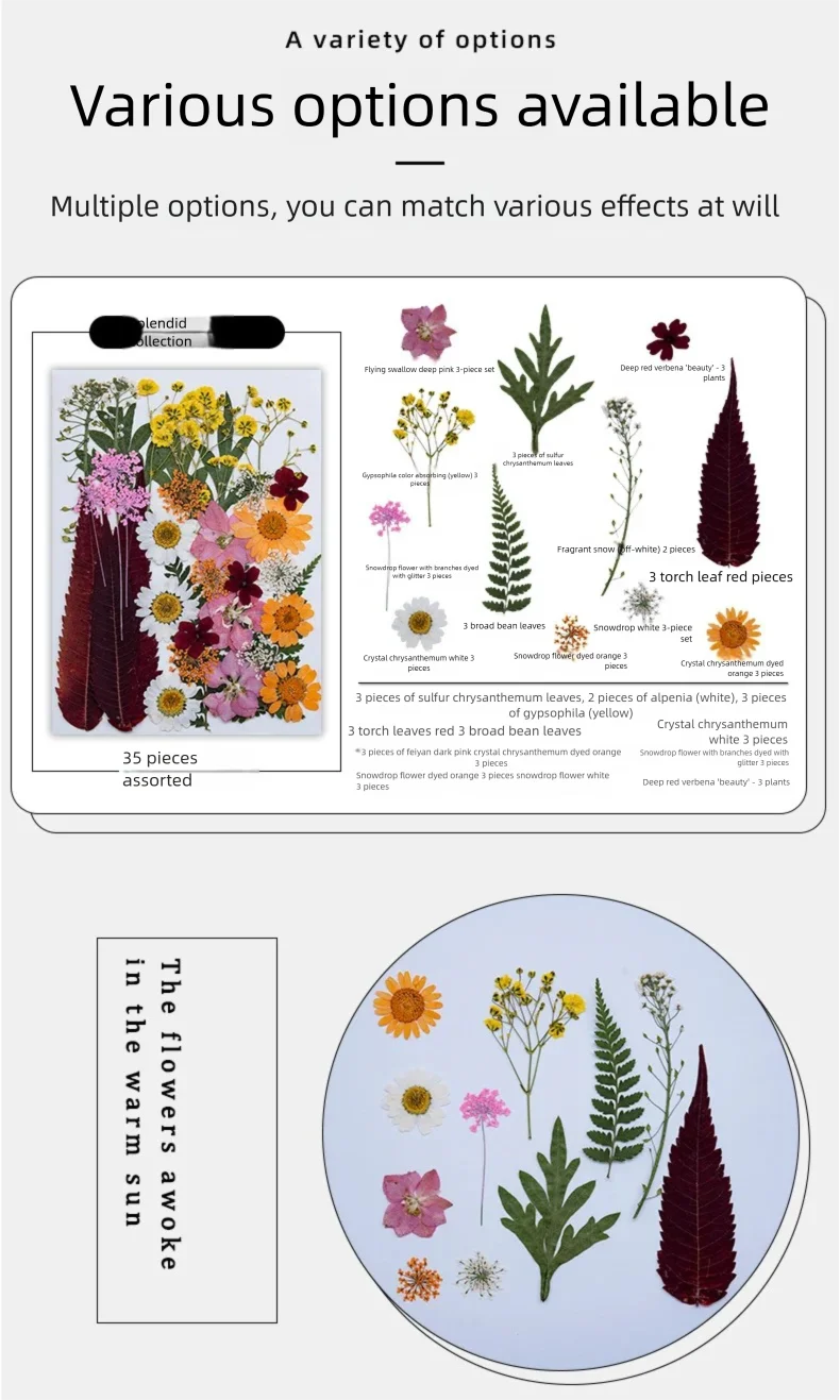 Mixed Dried Flowers, Pressed Flowers, Resin Bookmark, Photo Frame, Real Flowers, Pressed Flowers, Parent-Child Handmade Plant Specimen Painting Material Kit