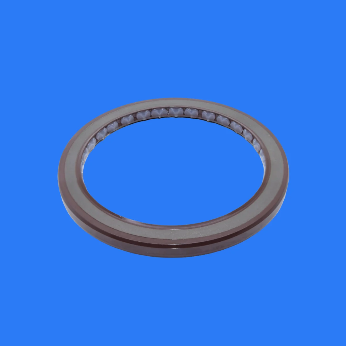 High Quality FKM Pressure Type Oil Seal BAFSL1SF 80*100*7 mm - Double Lip Oil Seal with Spring