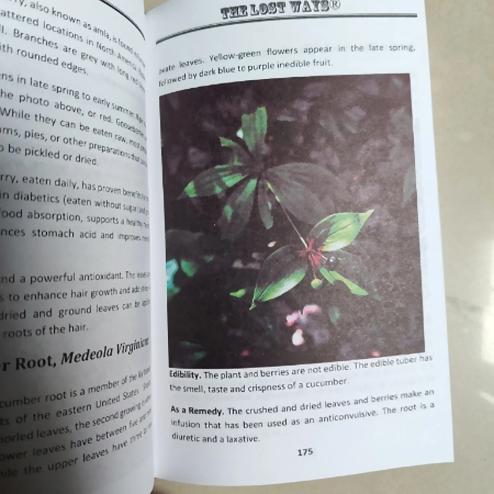 Тетрадь на тему инвенсора Lost Way с прочной обложкой из картона с покрытием и художественным дизайном для ведения журналов, заметок, подарков