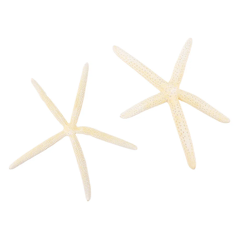 2Pcs Natural Sea Star Decorations Authentic Ocean Harvested Specimens for Desk Table Photography Prop Wedding Favor Beach Party