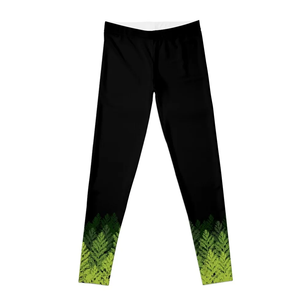 Fern field: Antarctic Permian fossils Leggings Sportswear woman gym Female legging pants legging gym Womens Leggings