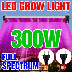 Luz Led de espectro completo para cultivo de plantas, tablero cuántico de 220V, 300W, 200W, 100W, para invernadero