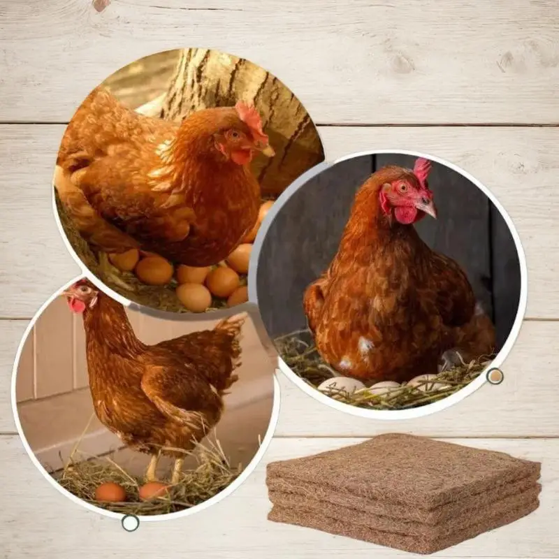 1 قطعة قابلة لإعادة الاستخدام الدجاج الفراش الحصير لوضع البيض صديقة للبيئة ألياف جوز الهند الدجاج التعشيش منصات حظيرة الدواجن التعشيش منصات