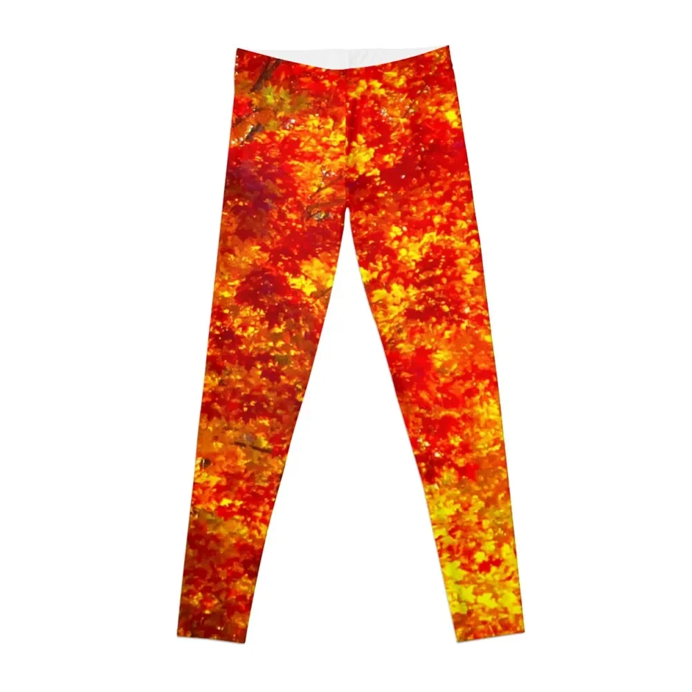 Orange Maple Tree Photography Yellow Trees Autumn Woods Fall Leggings Sports female workout clothes for Womens Leggings