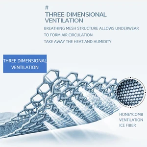 ثلج الحرير شبكة الملاكم السراويل الرجال ملابس داخلية كبيرة الحجم سراويل مثيرة أعلى 10 بيع سراويل داخلية كبيرة صور - No5