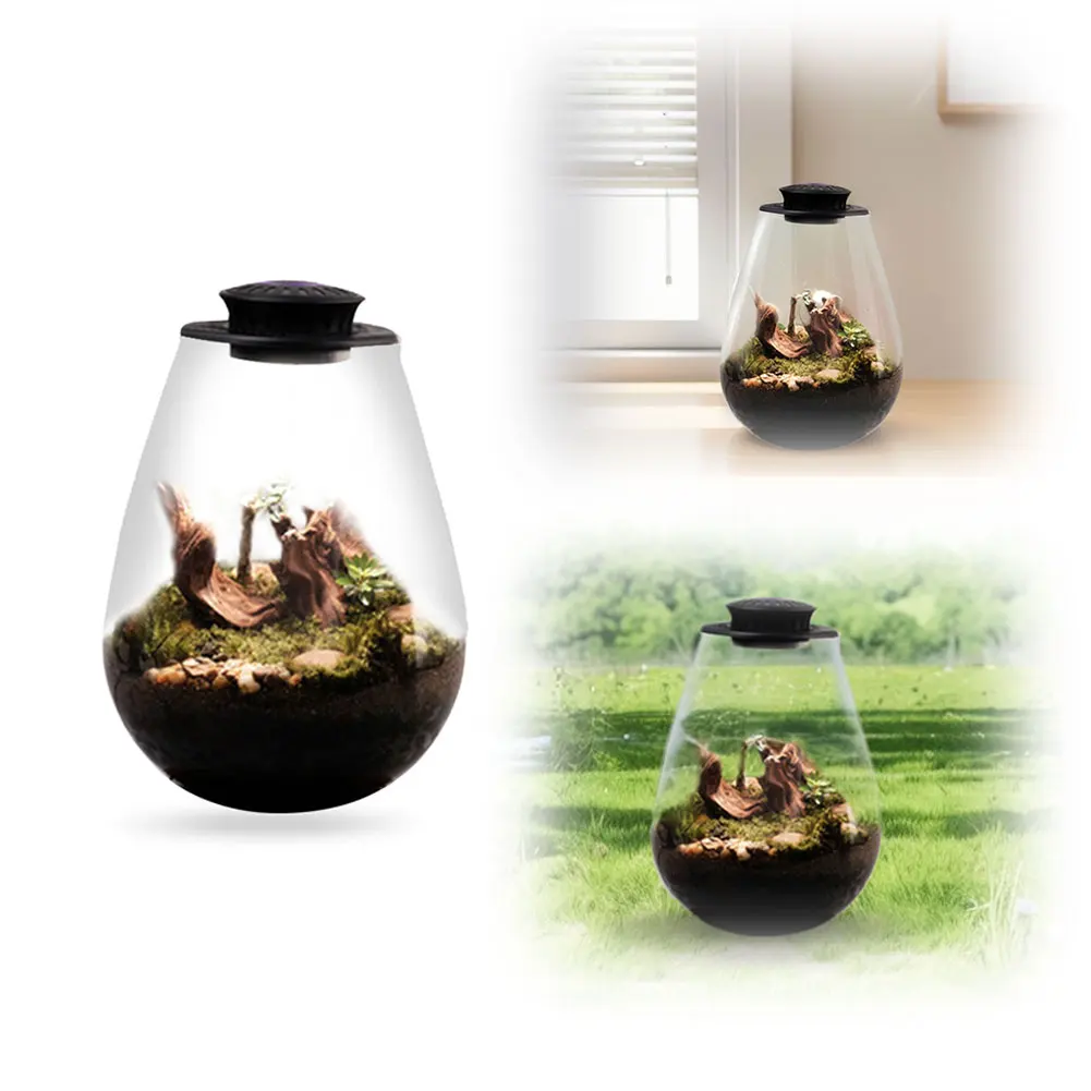 

Светодиодная лампа для выращивания растений Fern Moss Micro-Landscape с таймером, полный спектр, 6500K, для комнатных растений, суккулентов, мини-бонсай