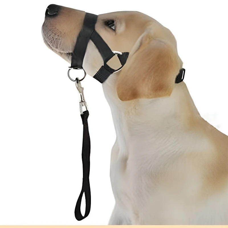 Hundehalsband, Maulkorb, Halfter, Trainingsleine, klassisches Halsband, verstellbares Anti-Bell- und Anti-Biss-Hundegeschirr, Hundezubehör – Detail 5