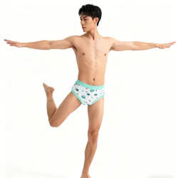 Cute green dinosaur Man's brief/man's underwear/brief for man