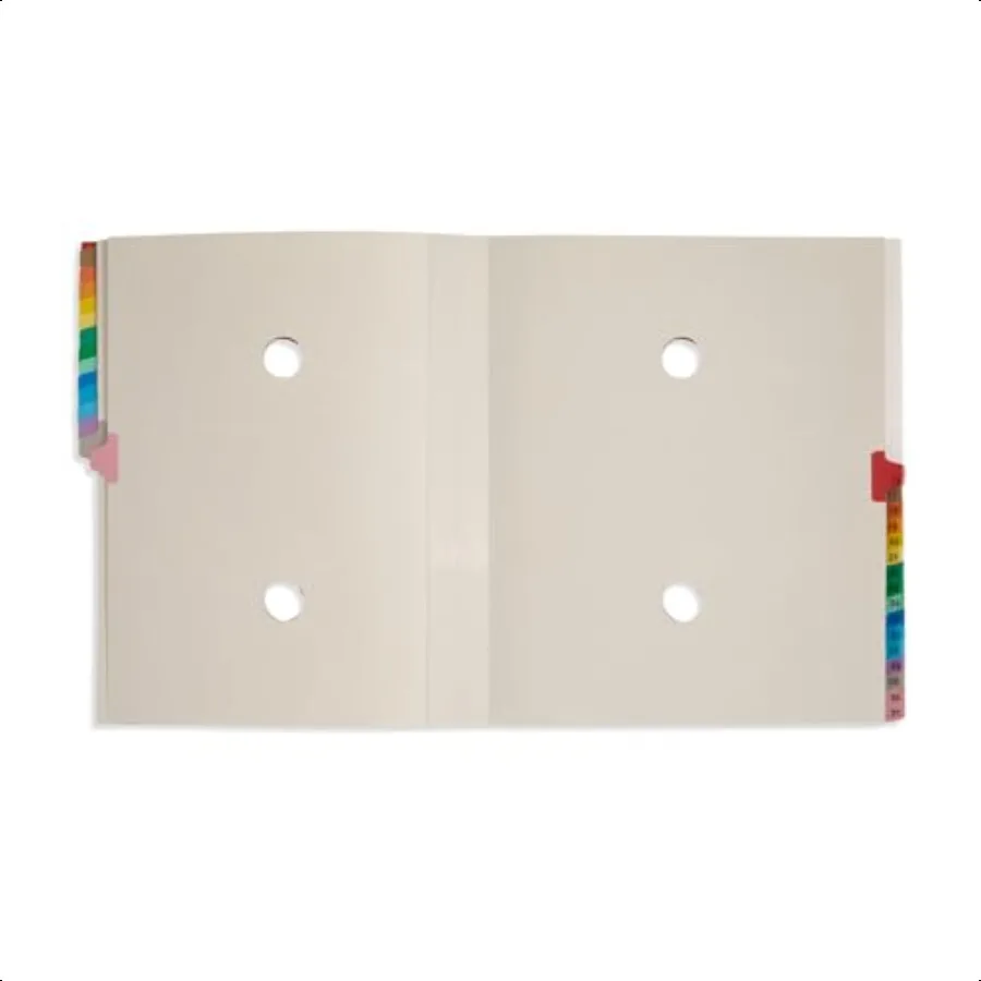 Blue Summit File da scrivania espandibile Letter Size 31 Divisori per l'organizzazione quotidiana 25PT Blue PrboardFile da scrivania espandibile giornaliero 131 L