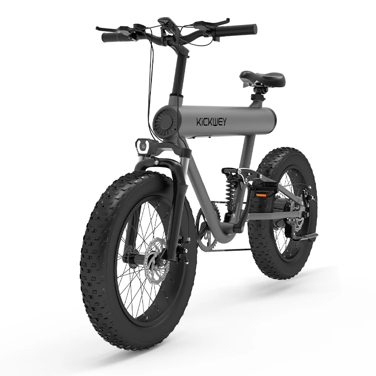 Full Suspension Ebik Kids Electric Bike image 3