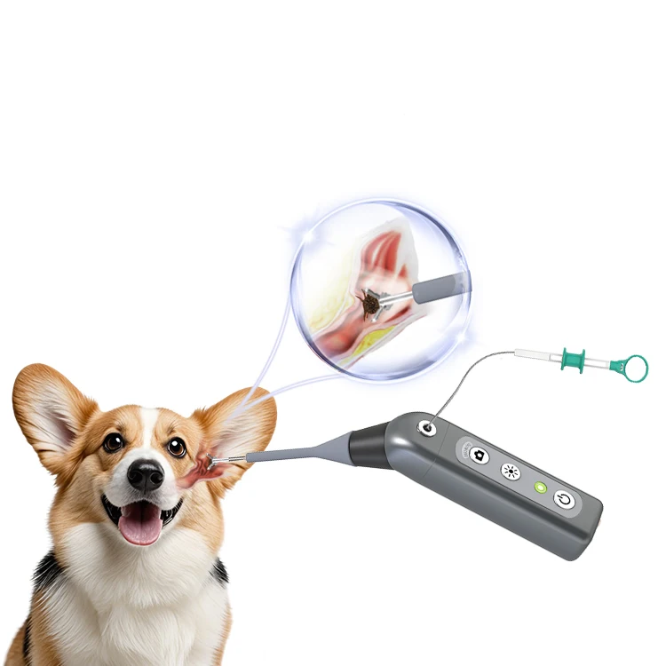 

Professional Pet Otoscope Ear Nose Throat Scope Adjustable Endoscope For Dog's Flammatory Disease Examination