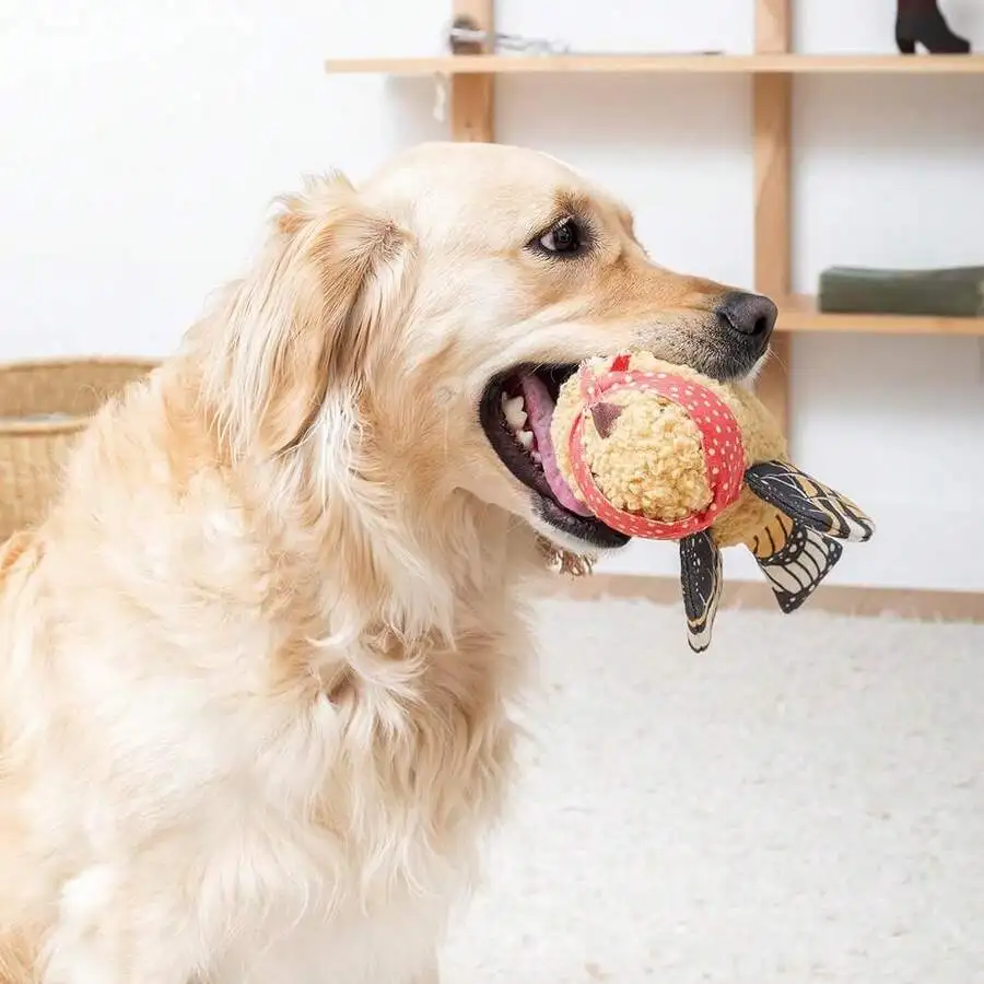 

Mixed Material Bird Shape Dog Chew Toy With Plush And Fabric