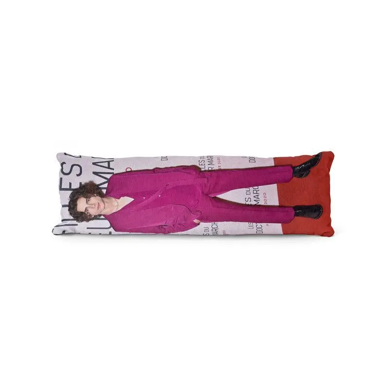 Aertemisi Timothee Chalamet Body Pillow Case Cover Anime Dakimakura Pillowcase