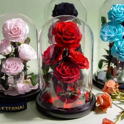 New Arrival Eternal Preserved Rose with Glass Dome 5 Flower Heads Rose Forever Love Wedding Favor Party Gifts for Women