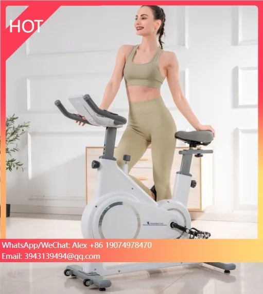 

Hot Selling China Spin Bike Ultra-Quiet Dynamic Bicycle Indoor Sports Exercise Bike