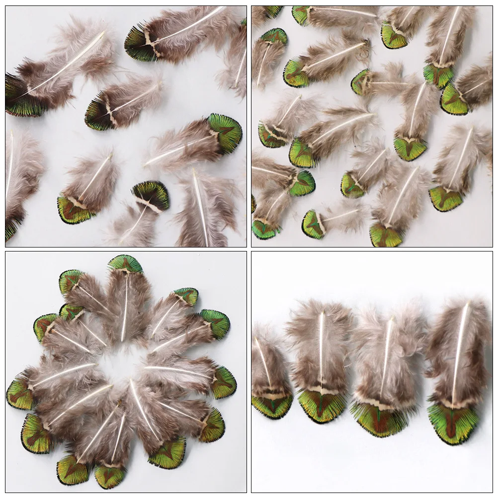 100 قطعة من مادة الطاووس الطبيعية التي يمكنك صنعها بنفسك لإكسسوارات المجوهرات وديكورات الزفاف وحرف الحفلات