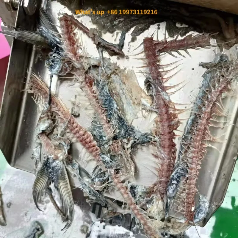 2026 SUS 304 Automatic Electric Mechanical Fish Deboner for Surimi Fishball Making