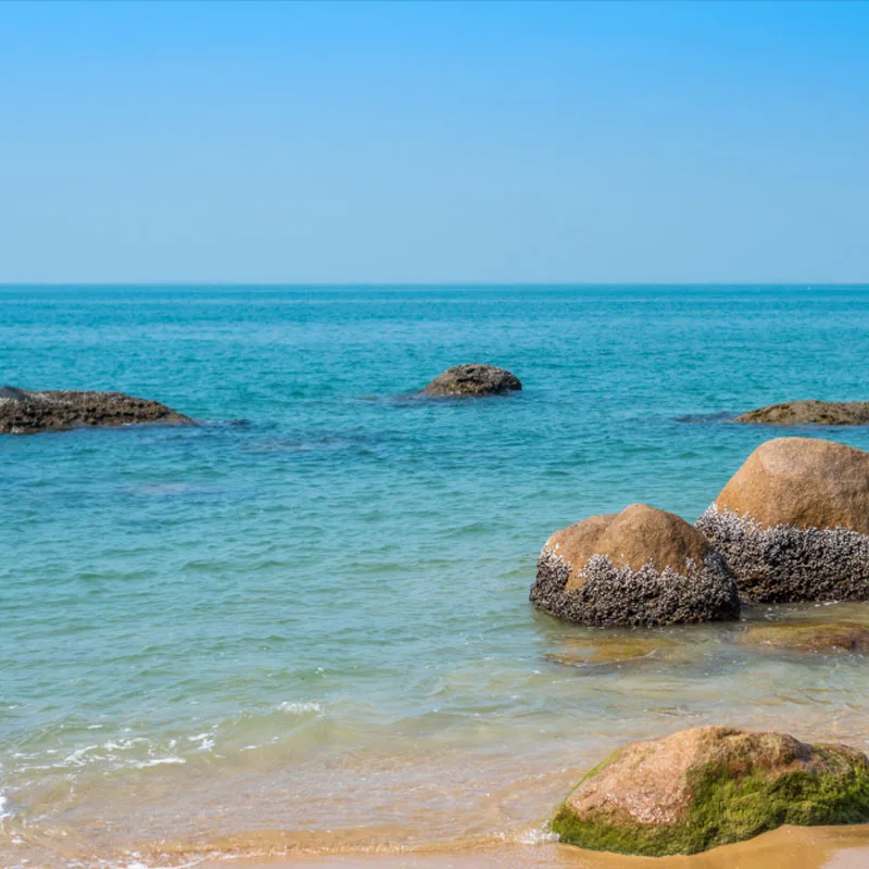 

Цифровой сервопривод JX PDI-HV5915MG 15 кг с металлическим редуктором и бесколлекторным HV-мотором для радиоуправляемых моделей автомобилей 1/8, 1/10, вертолетов 600-700, запчасти для DIY-проектов