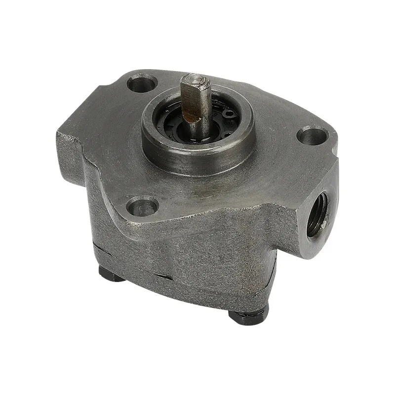 Small Gear Oil Pump Adjustable Pressure Triangle Pump Lubrication Trochoid Pumps