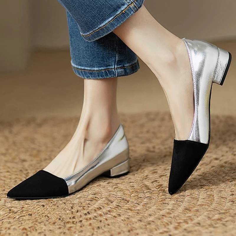

Pointed Toe Women's Shoes Shallow Low Heels Fashion Shoes for Woman Autumn Dress 2025 New Designer Luxury Sexy Chaussure Femme