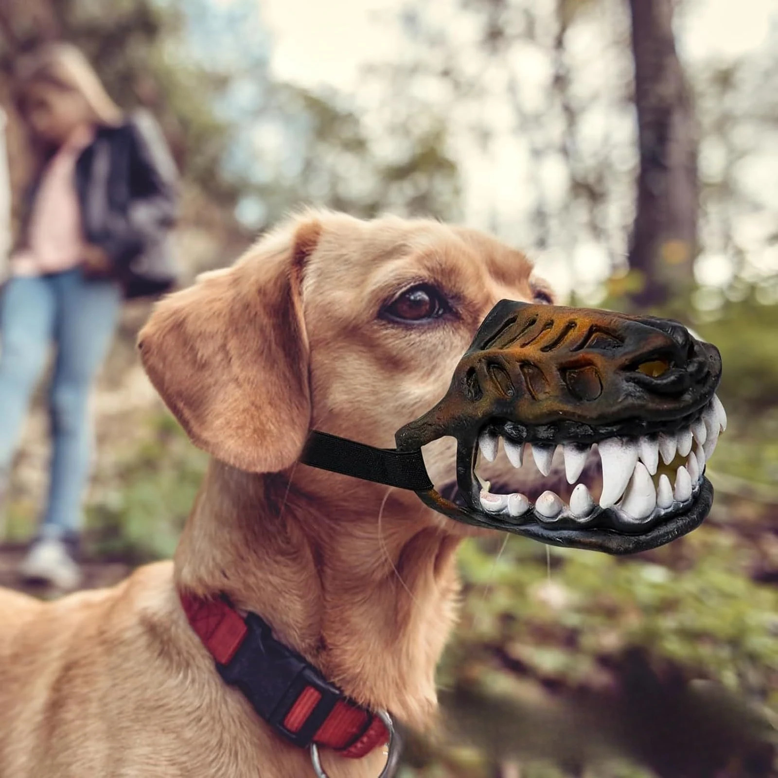 Pet Mouth Cover Usage