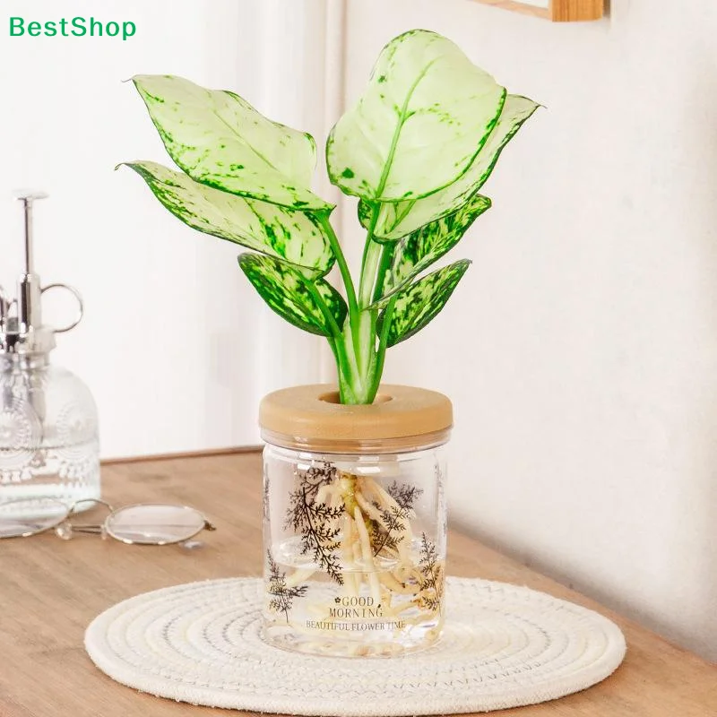 ★Clear Hydroponic Pot Water Planting Vase Stylish Propagation Pot Container Aquaponic Planter Decor