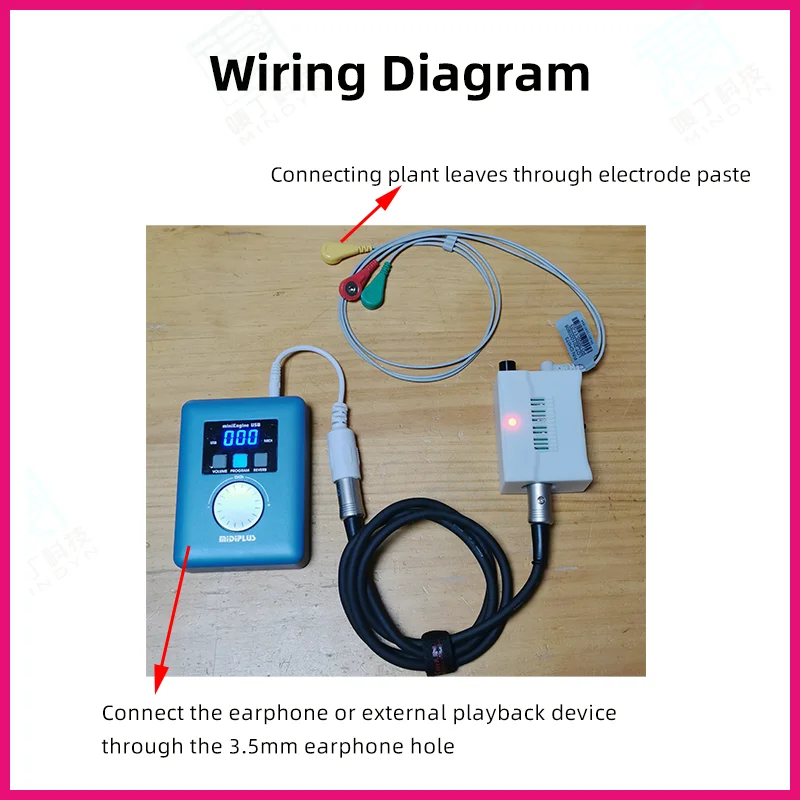 Dispositivo de adquisición de señal bioeléctrica para músico de plantas, instrumento Musical electrónico creativo, regalo divertido para amigo