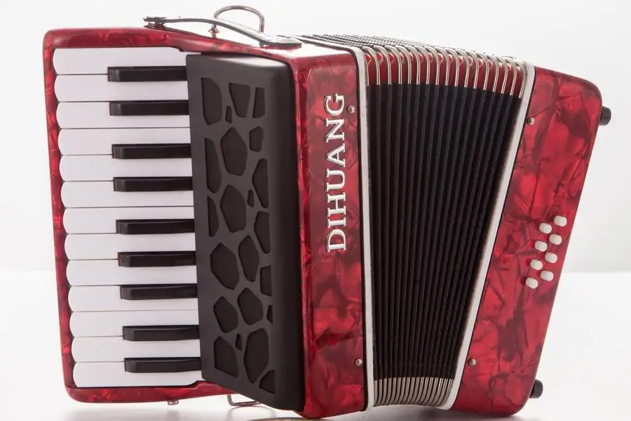 8 Bass Accordion Instrument for Sale Beginner Learning Practice Musical Diatonic Accordion for Kids Students