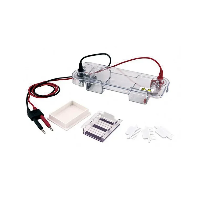 500V 120*120 Mm 650ml Horizontal Gel Electrophoresis Tank