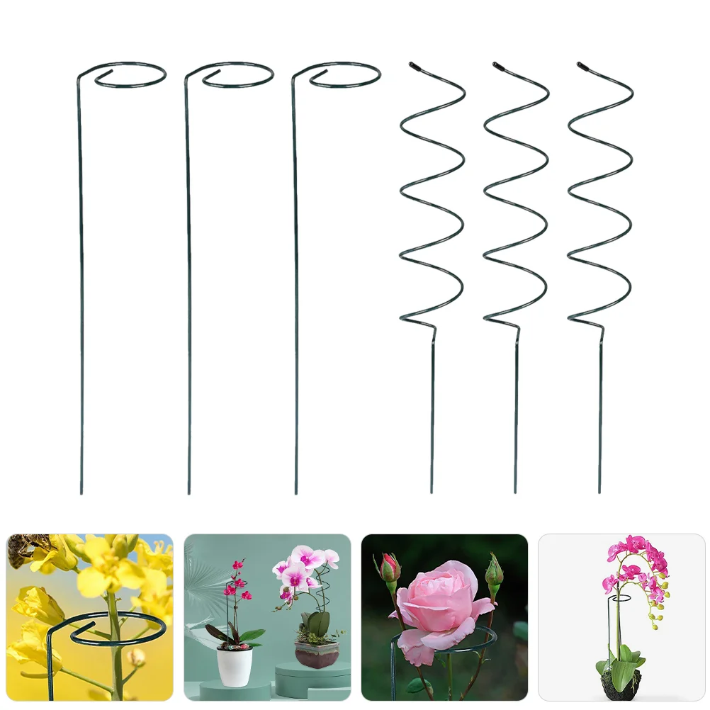 Telaio per arrampicata su piante a traliccio per piselli Phalaenopsis Piante a palo di supporto a stelo singolo