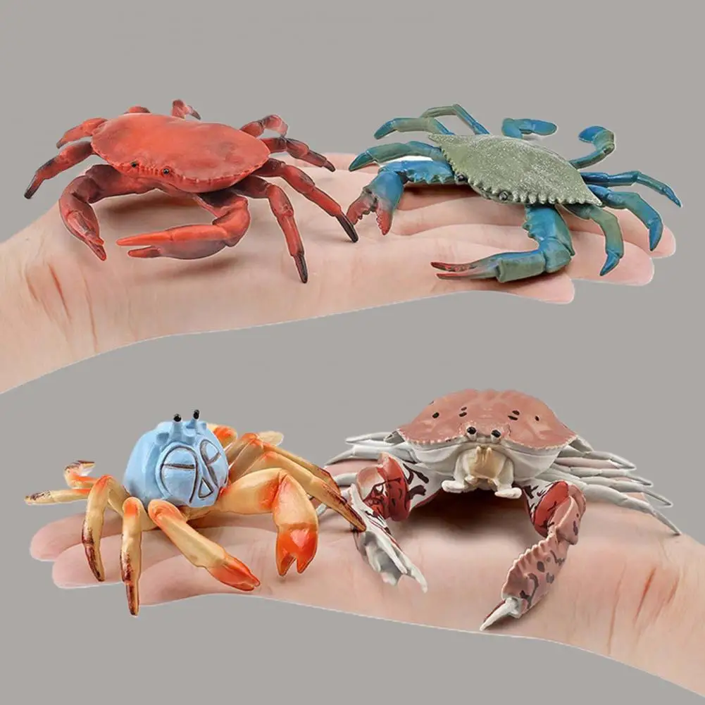 

New in Simulation Animal Model Vivid Intelligence Development Solid Aquarium Miniature Crab Cognition Education Toy for Home