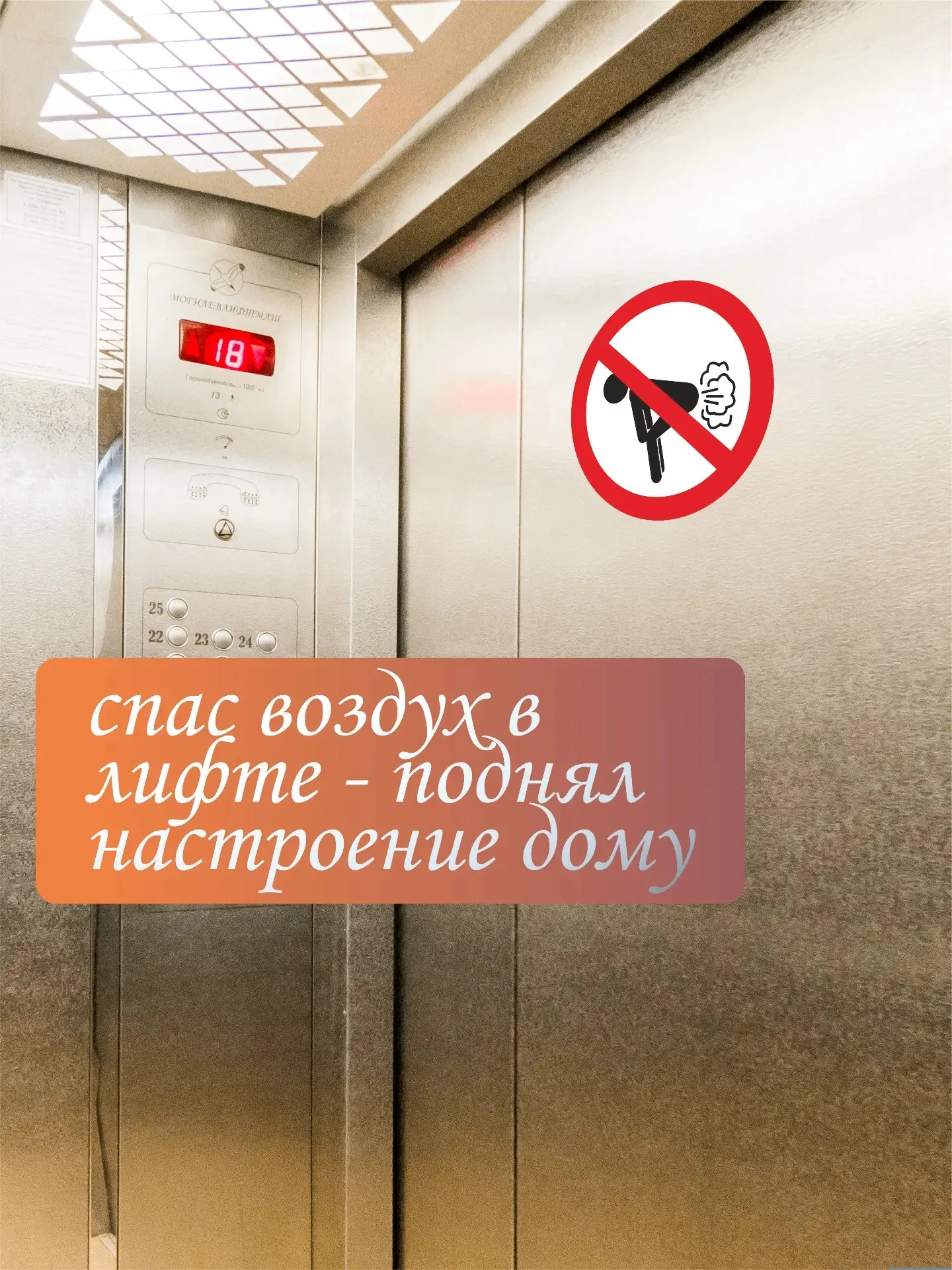 Funny Toilet Sticker 