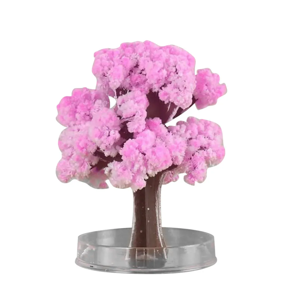 Paper Tree Flowering DIY Cherrytree Paper Sakura Crystal Trees Magically Paper Magic Growing Tree Japan Desktop Cherry Blossom