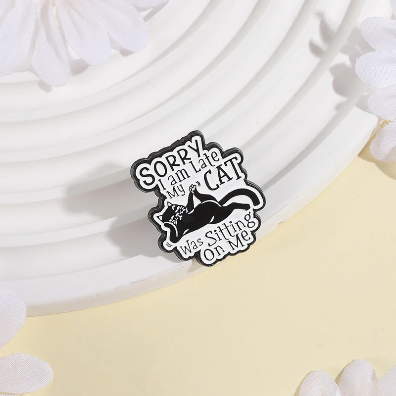 Mon chat était assis sur moi épingles en émail sorcier je suis en retard broches en métal mode revers Badge sac à dos vêtements bijoux cadeau pour ami