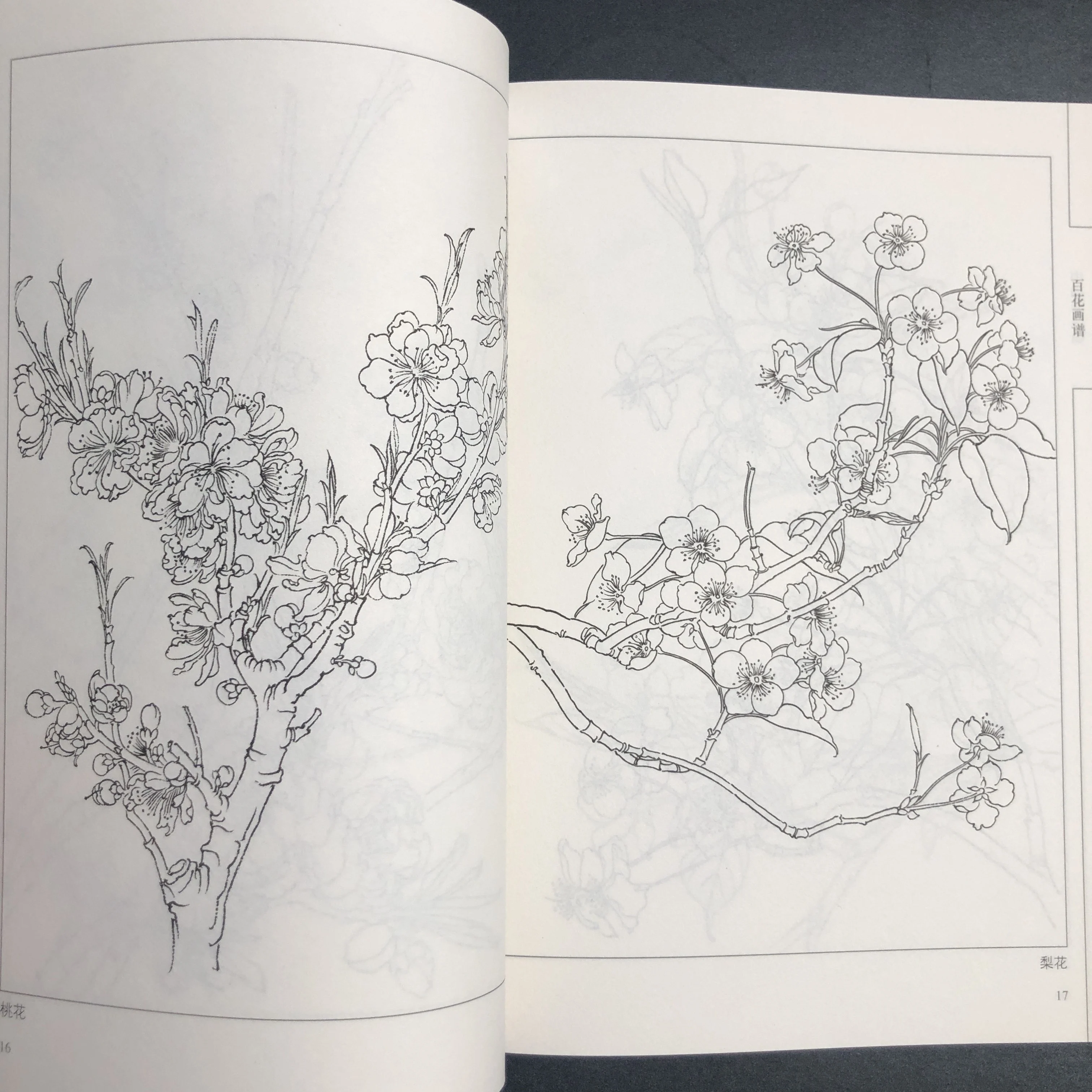 كتاب تلوين للبالغين والمراهقين يتميز بتصميمات سهلة وبسيطة لرسم الرسم الصيني للاسترخاء