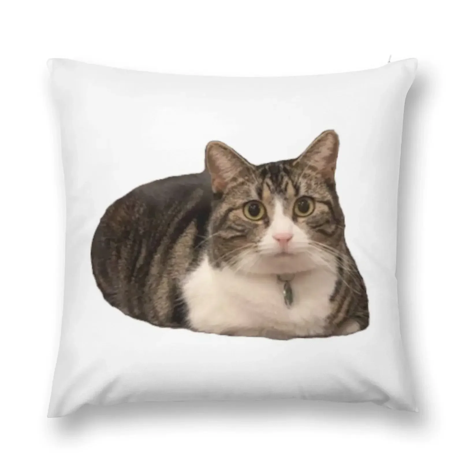

loafing dootie Throw Pillow Pillow Decor Sofa Cushion pillow