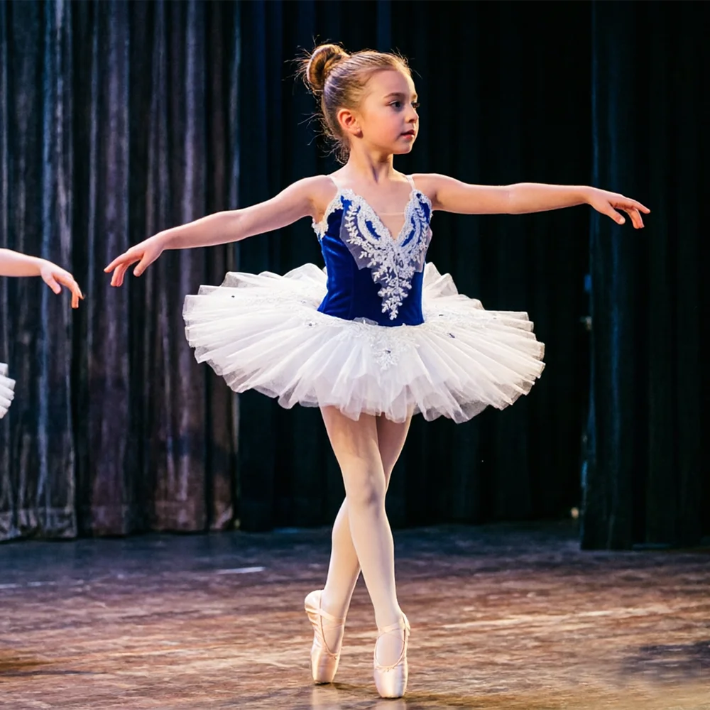 

Professional Romantic Tutu Ballet Dress for Girls Blue Velvet Bodice with Embroidery Kids Stage Performance & Dance Costume
