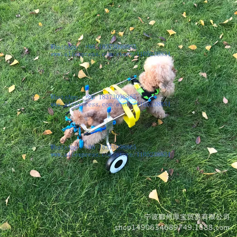 silla-de-ruedas-para-perros-vehiculo-de-entrenamiento-para-mascotas-con-discapacidad-en-las-patas-traseras-motocicleta-asistida-para-rehabilitacion-de-patas-traseras-de-perros-discapacitados