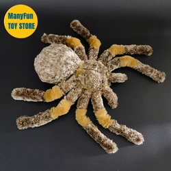 Tarantula High Fidelity Birdeater Cute Plushie Spider Plush Toys Lifelike Animals Simulation Stuffed Doll Kawai Toy Gifts Kids