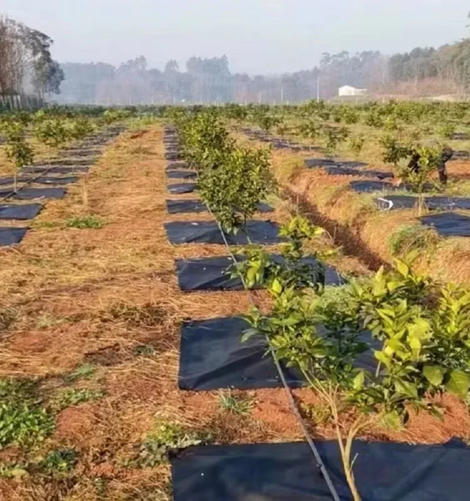 Weed Control Fabric Tree Protection Weeding Mat Thick Greenhouse Water Permeable Ecological Mulch Ring Round Weed Barrier Mat