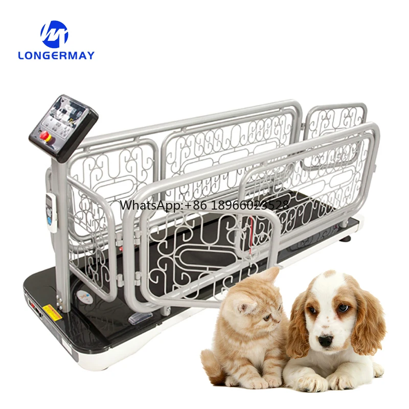 Dog Treadmill Walking Machine Pet Treadmill For Dogs Cat Treadmill