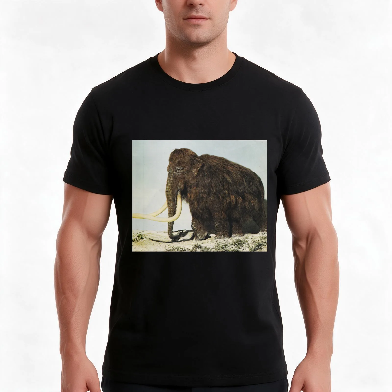 King Gizzard And the Lizard Wizard Mammoth Art T-Shirt, Summer Casual Cotton Tee, Oversized Streetwear Tops, Unisex Men Women