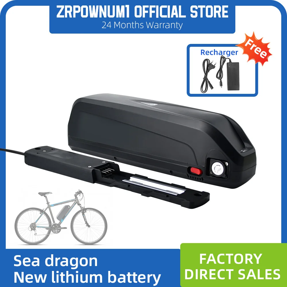 

hailong 48V ebike battery 36V electric bicycle battery Suitable for 100-1500W motors Mountain bike backup battery with charger