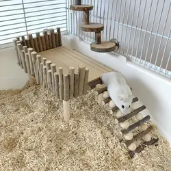 Climbing Ladder Versatile Guinea Pig Hamster Platform Climbing Toy Anti-Scratch Hamster Stand Toy Large Space Pet Toy