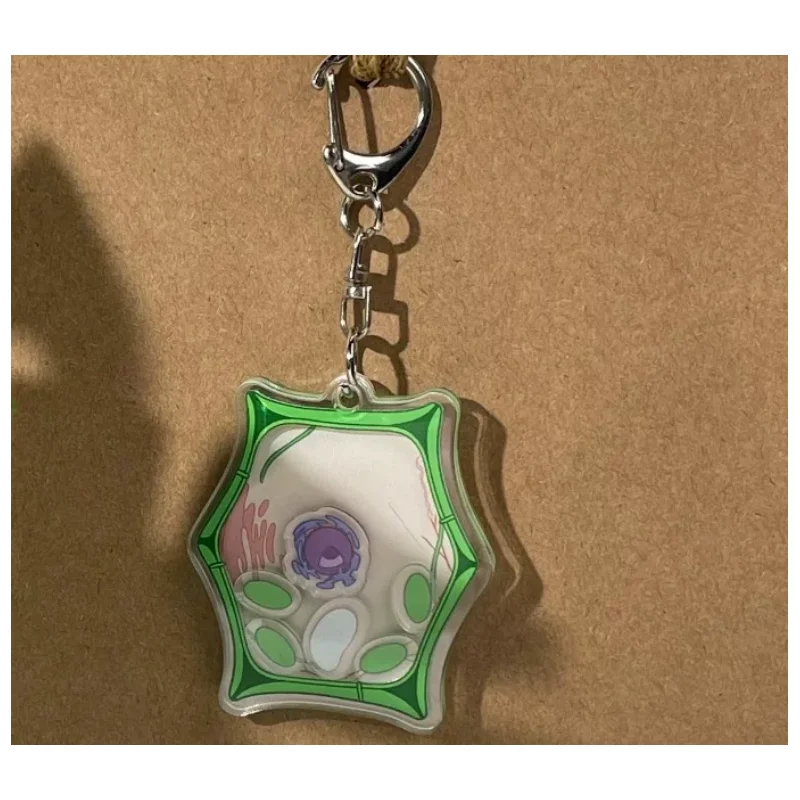 Porte-clés en acrylique en forme de cellule animale ou végétale, thème biologie scientifique, pendentif de sac organelle, cadeau pour étudiants et enseignants en biologie