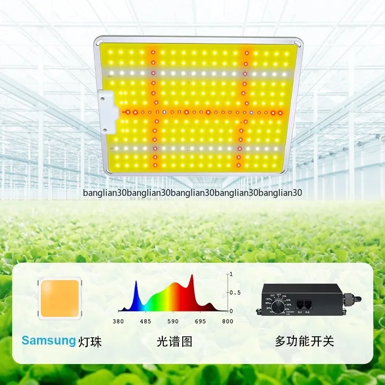 LED نبات ملء الضوء 100 واط 200 واط جديد الكم مجلس نمو النبات ضوء خيمة