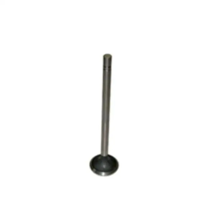 

1W3860 1W-3860 3406 3408 3412 Engine Exhaust Valve For Excavator 245 825C 621B 769 for CATERPILLAR