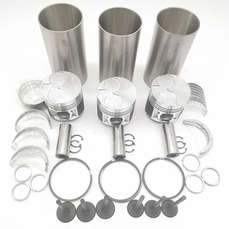 N843 N843L Overhaul Rebuild Kit fits Shibaura Engine D33 DX31